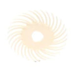 Scotch-Brite™ SR Radial Bristle Disc, 2 in x 3/8 in, 10/Carton, 40
ea/Case