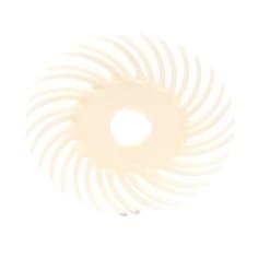 Scotch-Brite™ SR Radial Bristle Disc, 2 in x 3/8 in, 10/Carton, 40
ea/Case
