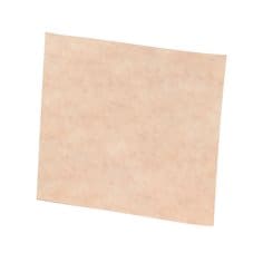 Scotch-Brite™ Clean and Finish Sheet, 6 in x 9 in T, 50 ea/Case
