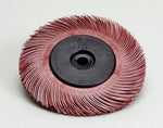Scotch-Brite™ Radial Bristle Brush Replacement Disc, T-C 220 Refill,
7-5/8 in, 70/Pack, 1 Pack/Case