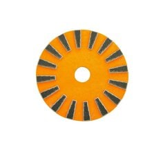 Scotch-Brite™ Diamond Floor Brush 3000 Series, 16 in, 2/Case